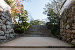 不明門・本段への階段｜高解像度画像サイズ：8688 x 5792 pixels｜写真番号：5DSA2920｜撮影：Canon EOS 5DS