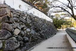 中の段から本段への通路｜高解像度画像サイズ：8688 x 5792 pixels｜写真番号：5DSA3076｜撮影：Canon EOS 5DS