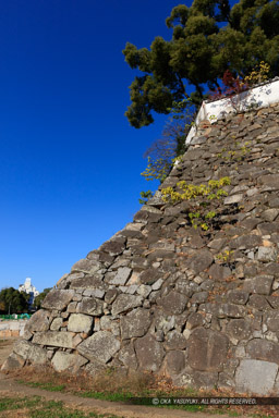 本段石垣｜高解像度画像サイズ：5792 x 8688 pixels｜写真番号：5DSA3080｜撮影：Canon EOS 5DS