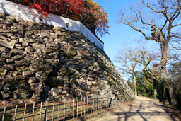 岡山城本段石垣・宇喜多秀家｜高解像度画像サイズ：8688 x 5792 pixels｜写真番号：5DSA3115｜撮影：Canon EOS 5DS