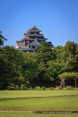 後楽園から岡山城天守を望む｜高解像度画像サイズ：3744 x 5616 pixels｜写真番号：1P3J7822｜撮影：Canon EOS-1Ds Mark III