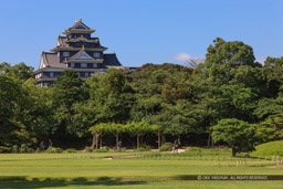 後楽園から岡山城天守を望む｜高解像度画像サイズ：5616 x 3744 pixels｜写真番号：1P3J7846｜撮影：Canon EOS-1Ds Mark III