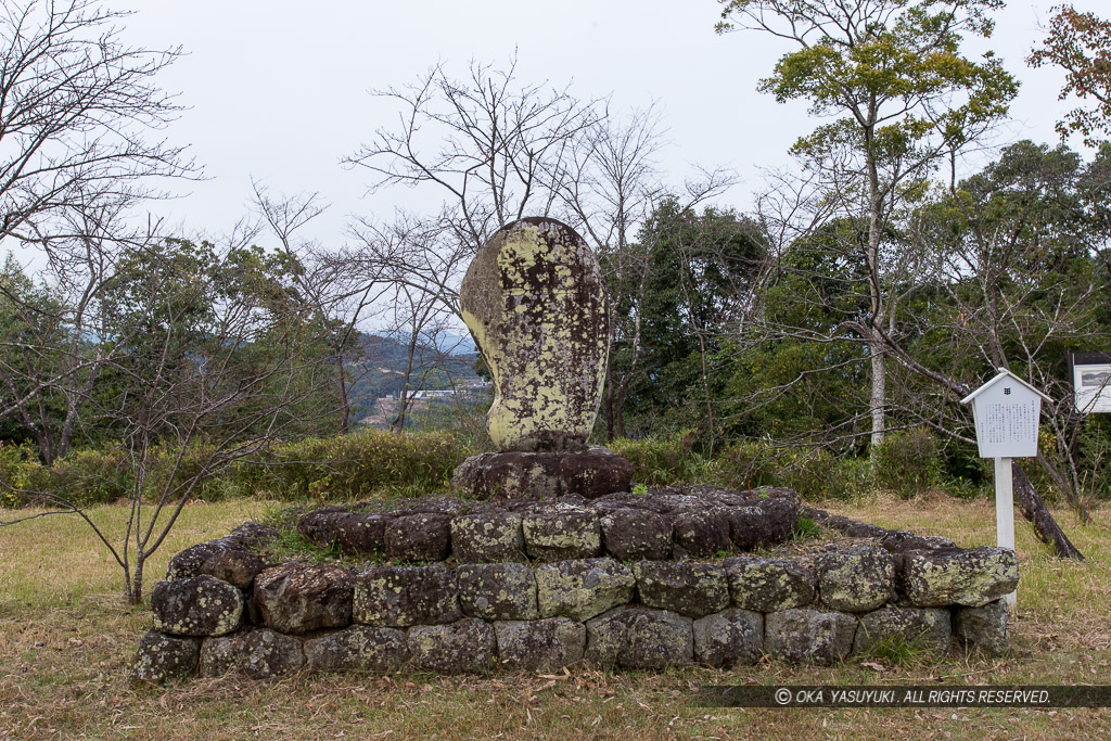 坂崎紫瀾・岡豊公園征清凱旋碑