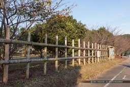 馬防柵・初陣・長浜表の戦い｜高解像度画像サイズ：5184 x 3456 pixels｜写真番号：1DXL8575｜撮影：Canon EOS-1D X