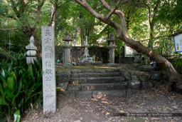 長宗我部信親の墓・戸次川戦没者供養塔・雪蹊寺｜高解像度画像サイズ：5184 x 3456 pixels｜写真番号：1DXL8626｜撮影：Canon EOS-1D X