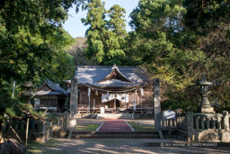 秦神社・長浜城址｜高解像度画像サイズ：5184 x 3456 pixels｜写真番号：1DXL8641｜撮影：Canon EOS-1D X