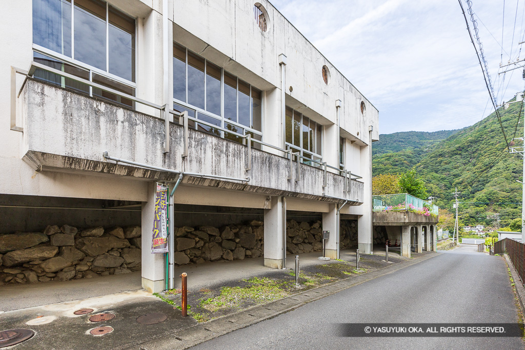 大西城石垣