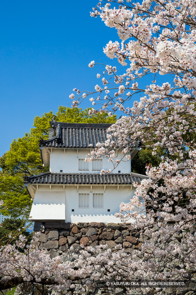 府内城の桜・平櫓