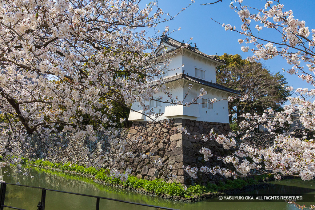 東丸北東角二階櫓・桜