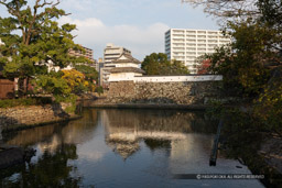 ｜高解像度画像サイズ：6720 x 4480 pixels｜写真番号：5D4A5836｜撮影：Canon EOS 5D Mark IV