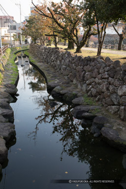 帯曲輪跡｜高解像度画像サイズ：4480 x 6720 pixels｜写真番号：5D4A5853｜撮影：Canon EOS 5D Mark IV