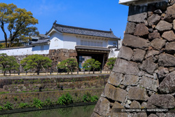  | 高解像度画像サイズ：5367 x 3580 pixels | 写真番号：6F1A5036 | 撮影：Canon EOS R5m2