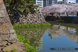 東丸内掘 | 高解像度画像サイズ：8192 x 5464 pixels | 写真番号：6F1A5039 | 撮影：Canon EOS R5m2
