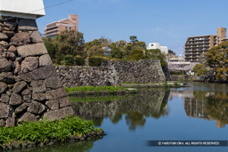 菱櫓跡 | 高解像度画像サイズ：8192 x 5464 pixels | 写真番号：6F1A5056 | 撮影：Canon EOS R5m2