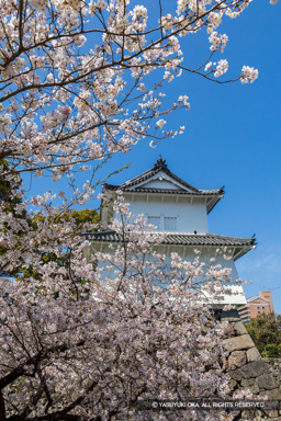 東丸北東角二階櫓・桜 | 高解像度画像サイズ：5198 x 7793 pixels | 写真番号：6F1A5059 | 撮影：Canon EOS R5m2