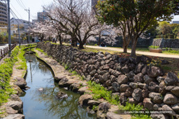 帯曲輪石垣 | 高解像度画像サイズ：8192 x 5464 pixels | 写真番号：6F1A5071 | 撮影：Canon EOS R5m2