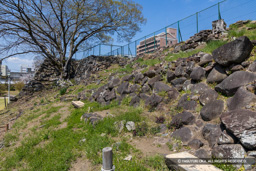 本丸北二階櫓跡 | 高解像度画像サイズ：8192 x 5464 pixels | 写真番号：6F1A5096 | 撮影：Canon EOS R5m2