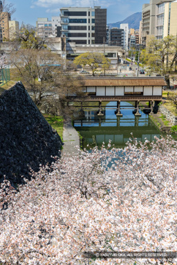 天守台から廊下橋 | 高解像度画像サイズ：5464 x 8192 pixels | 写真番号：6F1A5104 | 撮影：Canon EOS R5m2