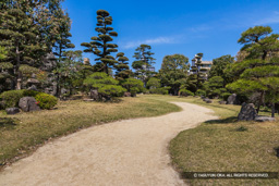 天守台北側 | 高解像度画像サイズ：8192 x 5464 pixels | 写真番号：6F1A5126 | 撮影：Canon EOS R5m2