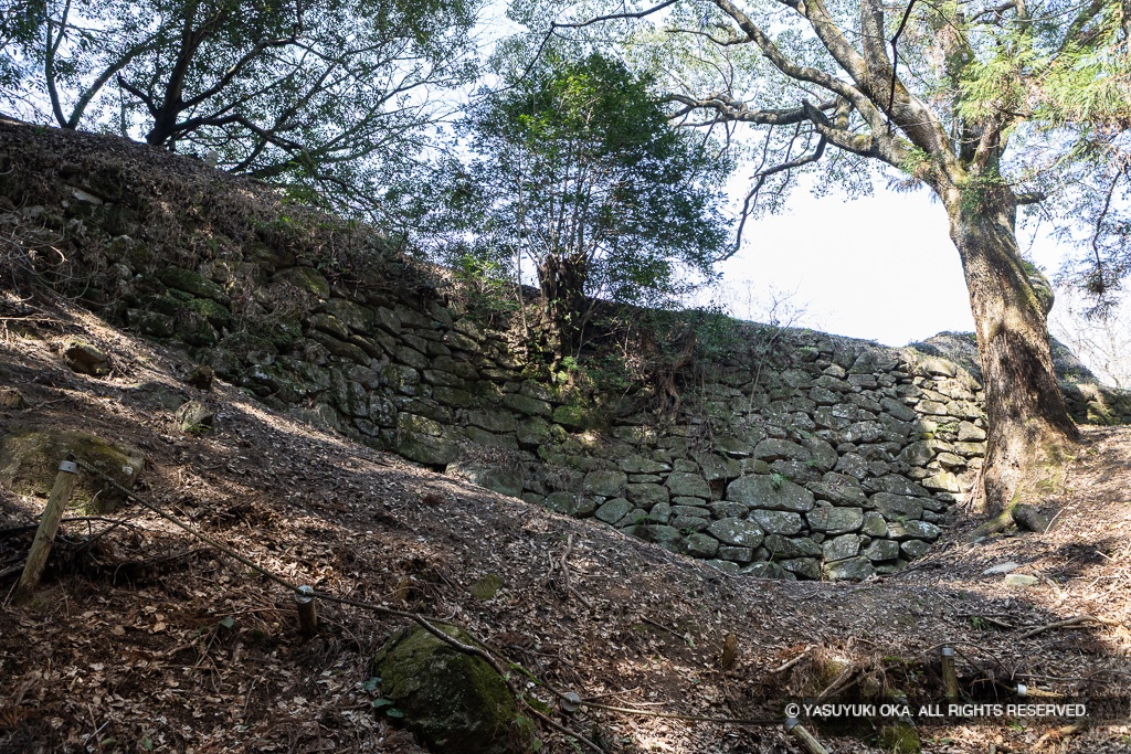 太宰府口城門跡続石垣