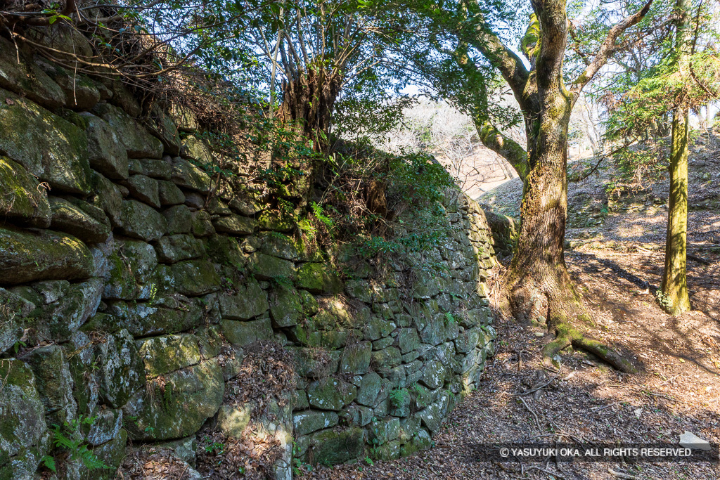 太宰府口城門跡続石垣