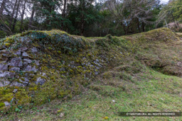 百間石垣 | 高解像度画像サイズ：8192 x 5464 pixels | 写真番号：6F1A2632 | 撮影：Canon EOS R5m2