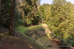 百間石垣 | 高解像度画像サイズ：8192 x 5464 pixels | 写真番号：6F1A2639 | 撮影：Canon EOS R5m2