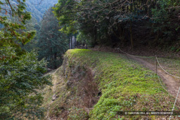 百間石垣から見下ろす風景 | 高解像度画像サイズ：8192 x 5464 pixels | 写真番号：6F1A2643 | 撮影：Canon EOS R5m2