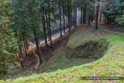 百間石垣 | 高解像度画像サイズ：8192 x 5464 pixels | 写真番号：6F1A2645 | 撮影：Canon EOS R5m2