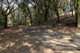 尾花礎石群 | 高解像度画像サイズ：8192 x 5464 pixels | 写真番号：6F1A2684 | 撮影：Canon EOS R5m2