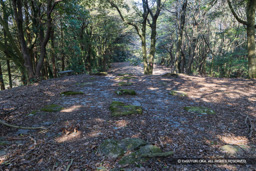 尾花礎石群 | 高解像度画像サイズ：8192 x 5464 pixels | 写真番号：6F1A2687 | 撮影：Canon EOS R5m2