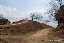 焼米ヶ原付近の土塁 | 高解像度画像サイズ：8192 x 5464 pixels | 写真番号：6F1A2693 | 撮影：Canon EOS R5m2