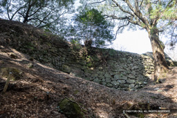 太宰府口城門跡続石垣 | 高解像度画像サイズ：8192 x 5464 pixels | 写真番号：6F1A2713 | 撮影：Canon EOS R5m2