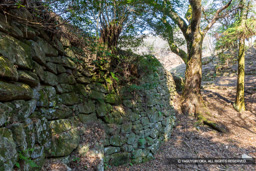 太宰府口城門跡続石垣 | 高解像度画像サイズ：8192 x 5464 pixels | 写真番号：6F1A2715 | 撮影：Canon EOS R5m2