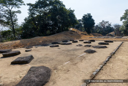 増長天礎石群 | 高解像度画像サイズ：8192 x 5464 pixels | 写真番号：6F1A2719 | 撮影：Canon EOS R5m2