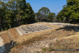 増長天礎石群 | 高解像度画像サイズ：8192 x 5464 pixels | 写真番号：6F1A2725 | 撮影：Canon EOS R5m2