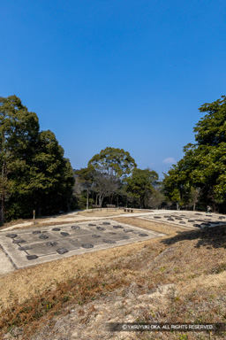 増長天礎石群 | 高解像度画像サイズ：5464 x 8192 pixels | 写真番号：6F1A2726 | 撮影：Canon EOS R5m2