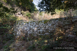 大石垣 | 高解像度画像サイズ：8192 x 5464 pixels | 写真番号：6F1A2736 | 撮影：Canon EOS R5m2