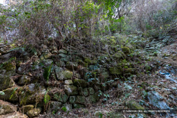 大石垣 | 高解像度画像サイズ：7618 x 5081 pixels | 写真番号：6F1A2740 | 撮影：Canon EOS R5m2