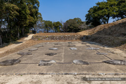 増長天礎石群 | 高解像度画像サイズ：8192 x 5464 pixels | 写真番号：6F1A2742 | 撮影：Canon EOS R5m2