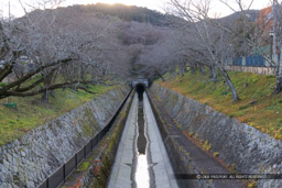 琵琶湖疎水｜高解像度画像サイズ：8192 x 5464 pixels｜写真番号：344A7350｜撮影：Canon EOS R5