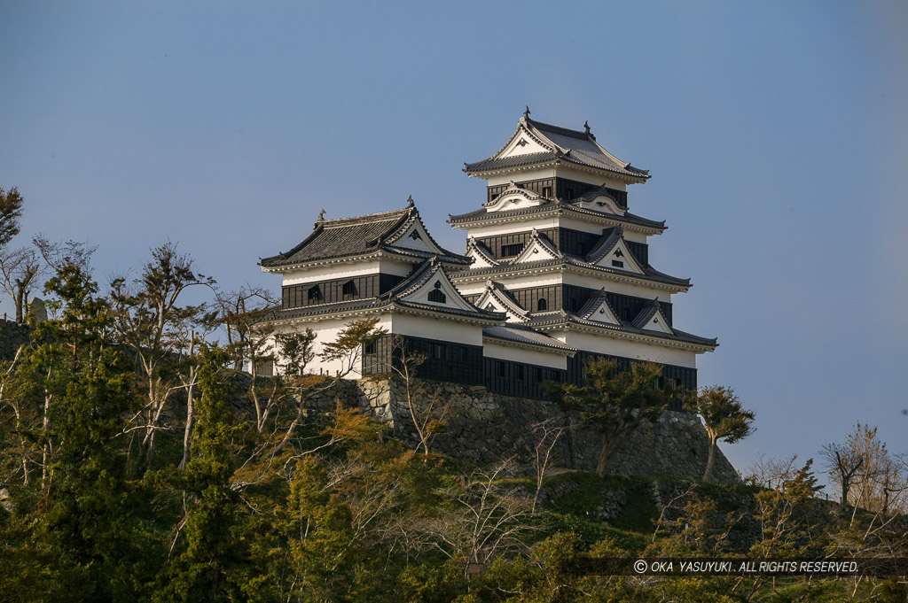 肘川から見る大洲城