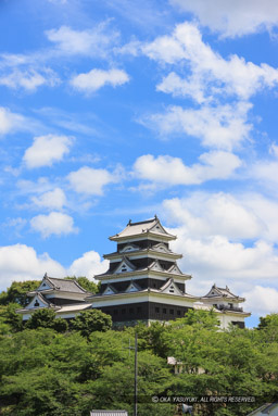 台所櫓・天守・高欄櫓｜高解像度画像サイズ：3608 x 5396 pixels｜写真番号：1P3J3096｜撮影：Canon EOS-1Ds Mark III