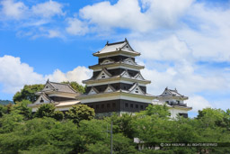 大洲城台所櫓・天守・高欄櫓｜高解像度画像サイズ：5515 x 3677 pixels｜写真番号：1P3J3106｜撮影：Canon EOS-1Ds Mark III