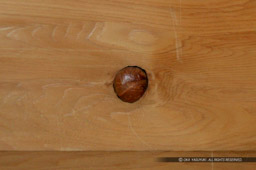 大洲城てんとう虫の埋木｜高解像度画像サイズ：1500 x 998 pixels｜写真番号：53BS0255｜撮影：Canon EOS-1DS