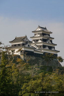 肘川から見る大洲城｜高解像度画像サイズ：2489 x 3741 pixels｜写真番号：53BS9203｜撮影：Canon EOS-1DS