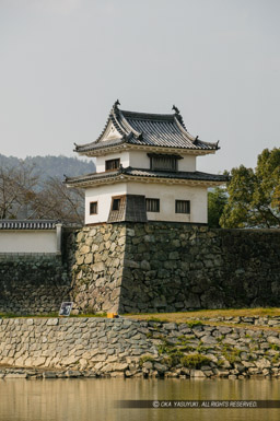 苧綿櫓｜高解像度画像サイズ：2655 x 3991 pixels｜写真番号：53BS9258｜撮影：Canon EOS-1DS