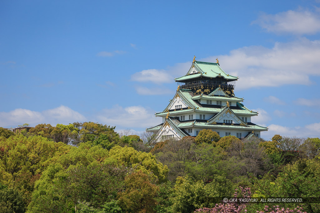 春の大阪城