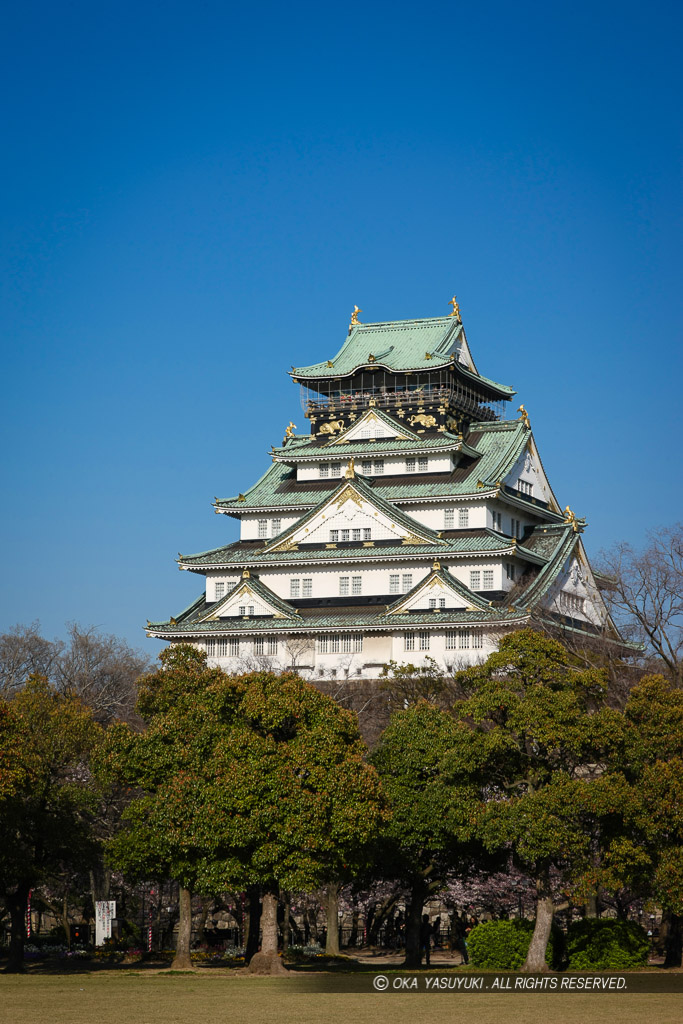 西の丸から大阪城天守閣