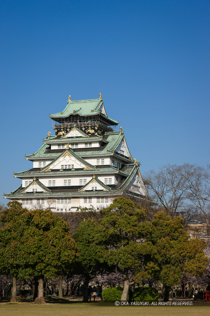 西の丸から大阪城天守閣